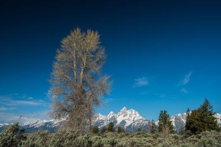 ձһ뾳߸ȾϷǳֵı¹ڲ